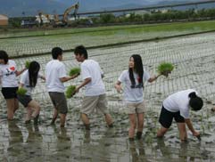 白花油的一亩田活动2009e