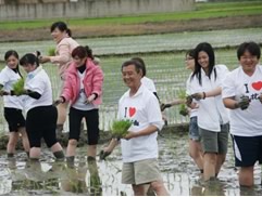 白花油的一亩田活动2009g