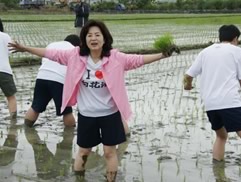 白花油的一亩田活动2009i