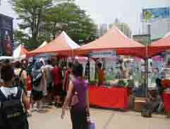 白花油高雄三對三鬥牛賽2009 12