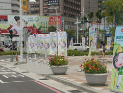 白花油高雄三對三鬥牛賽2009 31