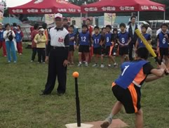 白花油杯乐乐棒球赛2009zj