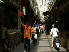 白花油三鳳中街認識中草藥 27