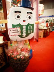 白花油│台北國際素食暨有機產品博覽會85