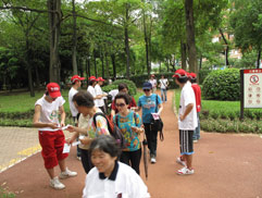 白花油母│台北國際素食暨有機產品博覽會31