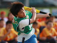 2010第二屆白花油盃全民樂樂棒球邀請賽圖片