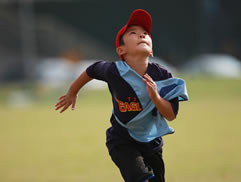 2010第二屆白花油盃全民樂樂棒球邀請賽圖片