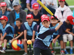 2010第二屆白花油盃全民樂樂棒球邀請賽圖片