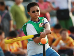 2010第二屆白花油盃全民樂樂棒球邀請賽圖片