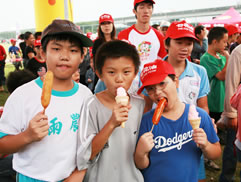 2010第二屆白花油盃全民樂樂棒球邀請賽圖片