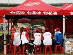 2010第二屆白花油盃全民樂樂棒球邀請賽圖片