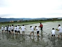 白花油的一畝田活動2009j