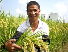 白花油的一畝田活動2009l