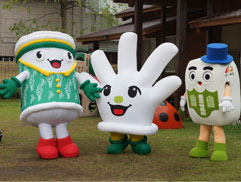 白花清清手剪影e