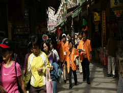 白花油三鳳中街認識中草藥 28