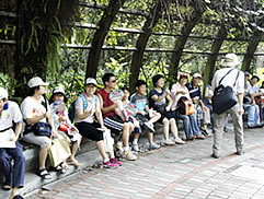 植物園中藥之旅圖片