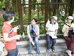 植物園中藥之旅圖片
