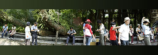 植物園中藥之旅圖片