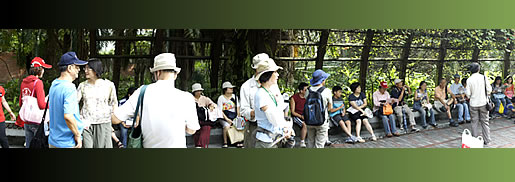 植物園中藥之旅圖片