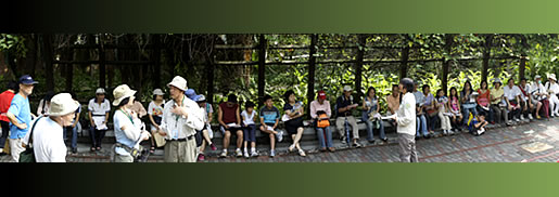 植物園中藥之旅圖片