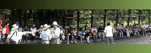 植物園中藥之旅圖片