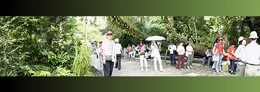 植物園中藥之旅圖片