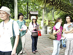 植物園中藥之旅圖片