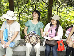 植物園中藥之旅圖片