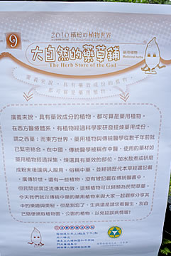 植物園中藥之旅圖片