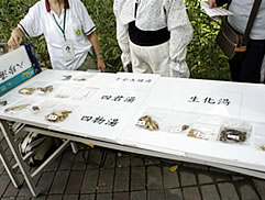 植物園中藥之旅圖片