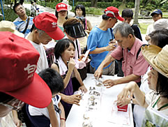 植物園中藥之旅圖片
