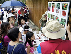 植物園中藥之旅圖片