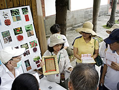 植物園中藥之旅圖片