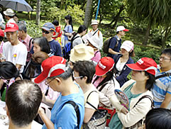 植物園中藥之旅圖片