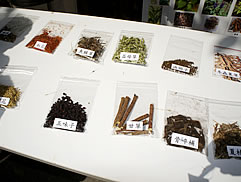 植物園中藥之旅圖片