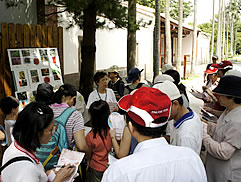 植物園中藥之旅圖片