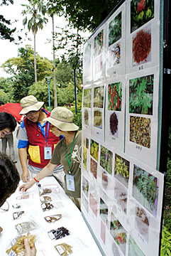 植物園中藥之旅圖片