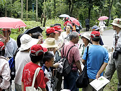 植物園中藥之旅圖片