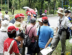 植物園中藥之旅圖片