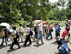植物園中藥之旅圖片