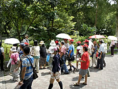 植物園中藥之旅圖片