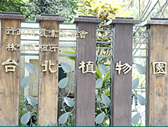 植物園中藥之旅圖片