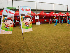 2010第二屆白花油盃全民樂樂棒球邀請賽圖片