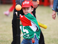 2010第二屆白花油盃全民樂樂棒球邀請賽圖片