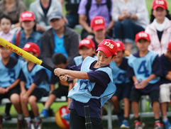 2010第二屆白花油盃全民樂樂棒球邀請賽圖片
