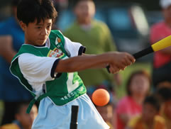 2010第二屆白花油盃全民樂樂棒球邀請賽圖片