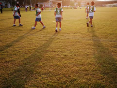 2010第二屆白花油盃全民樂樂棒球邀請賽圖片